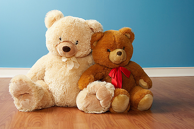 Celebrate Teddy Day in different way
